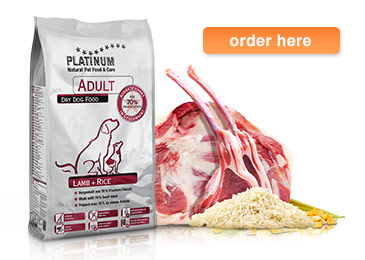 PLATINUM Adult Lamb+Rice dry dog food product information